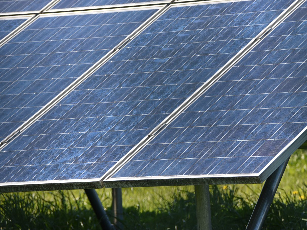 Das Bild zeigt Solarpanele einer Fotovoltaikanlage. Erneuerbare Energien sind wichtig und auch Privathaushalte können eine staatliche Förderung erfahren.